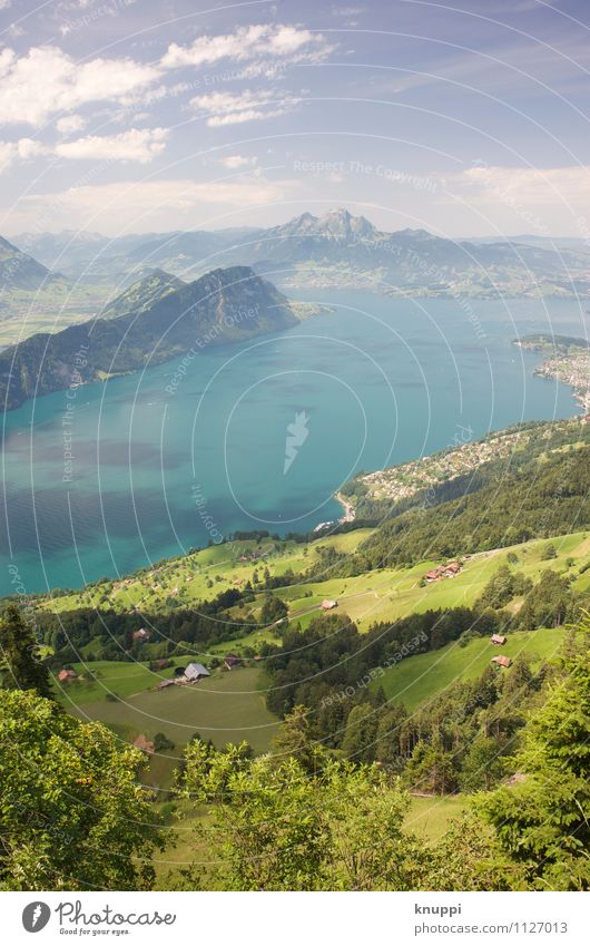 Lake Lucerne Environment Nature Landscape Plant Elements Air Water Sky Clouds Horizon Sun Sunlight Spring Summer Climate Climate change Weather