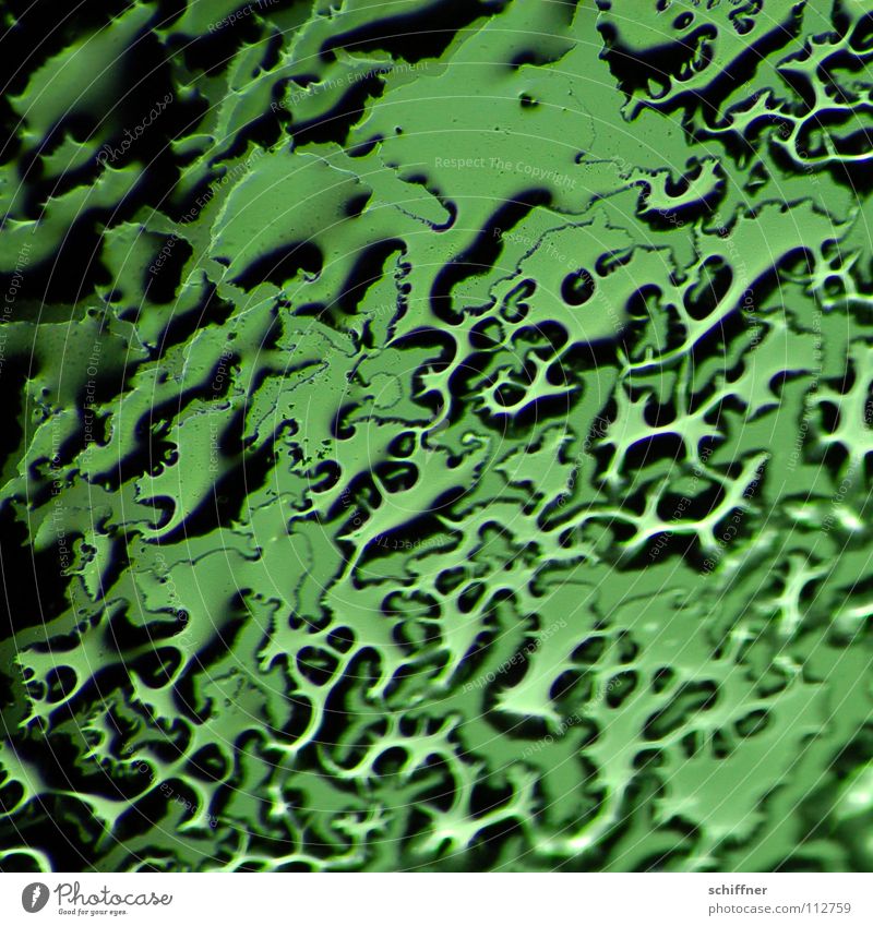 Reloaded: Horny blower... Windscreen Car Window Thaw Green Cold Winter Blur Background picture Macro (Extreme close-up) Close-up Ice Drops of water Water