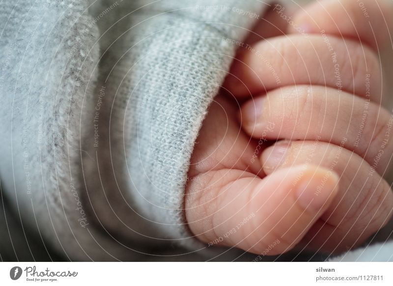 Hands #2 Feminine Baby Fingers 1 Human being 0 - 12 months To hold on Lie Healthy Beautiful Near New Clean Warmth Soft Gray Pink Happy Contentment