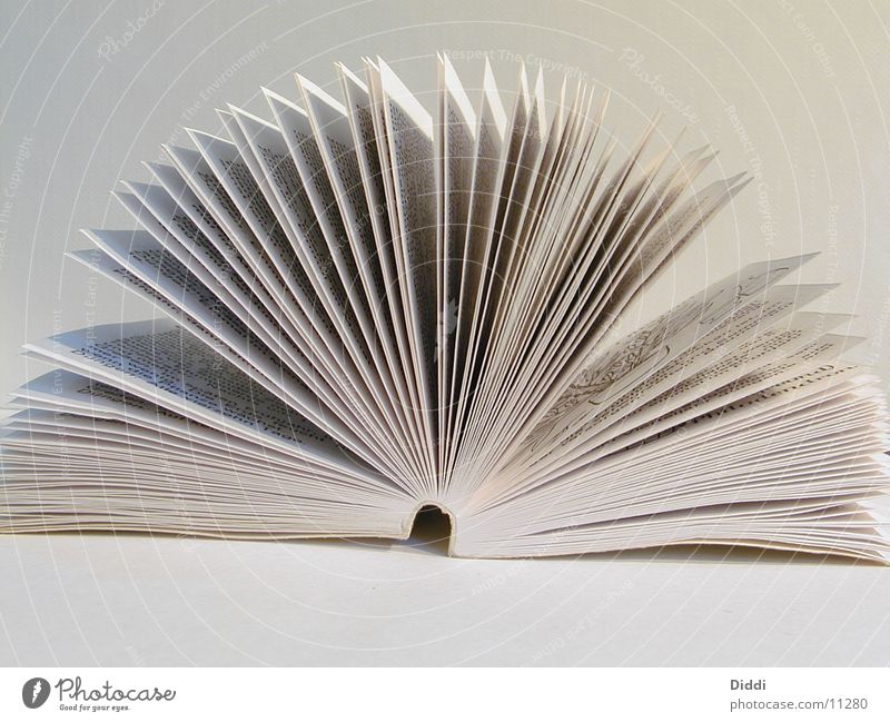 book pages Book Leaf Things Side