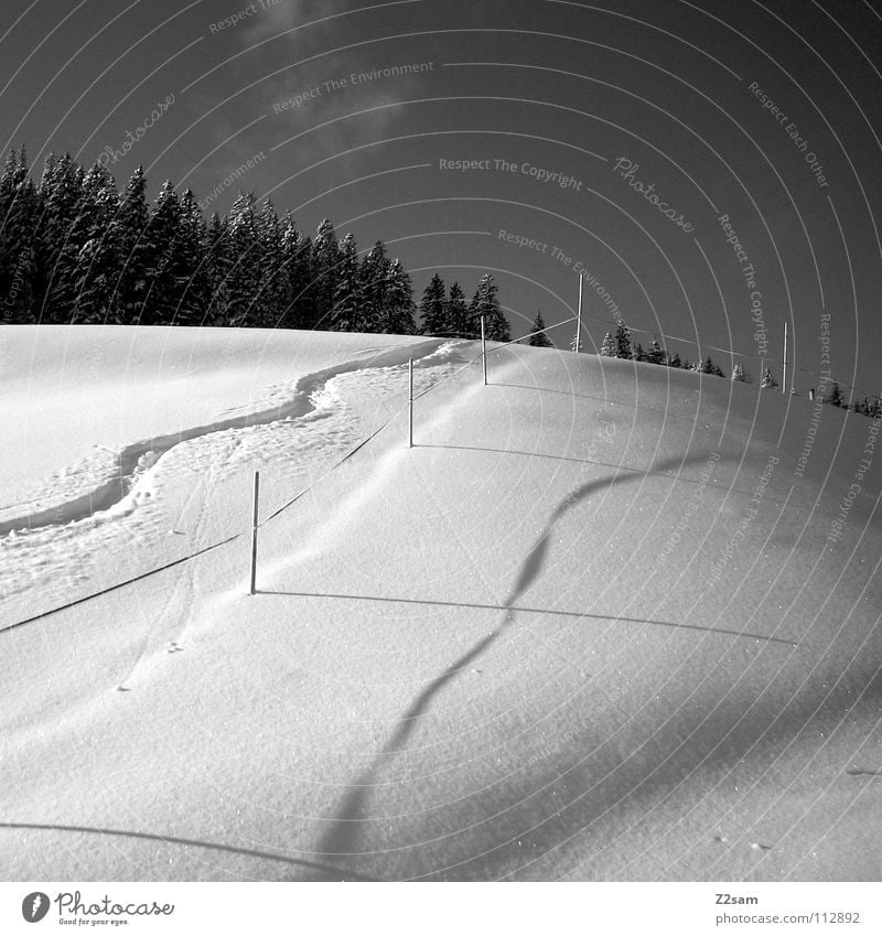 winter dream Winter Snowboarding Forest Snowscape Cold Deep snow Ski resort Black White Winter sports Loneliness Wiggly line Waves Upward Barrier Beautiful Line