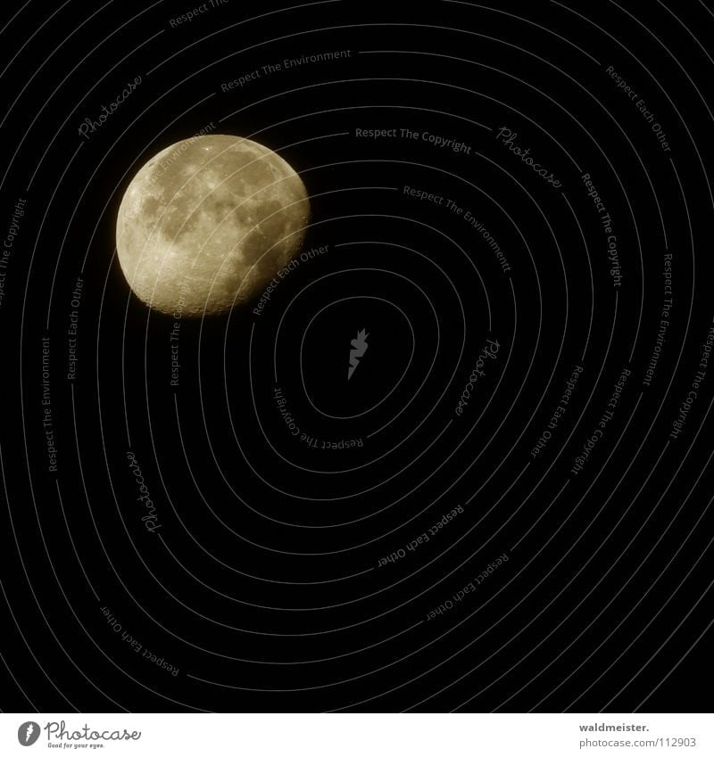 Moon (with Canon) Decreasing Planet Astronomy Astrology Astrophotography Volcanic crater Dream Moonstruck Werewolf Celestial bodies and the universe earthmoon