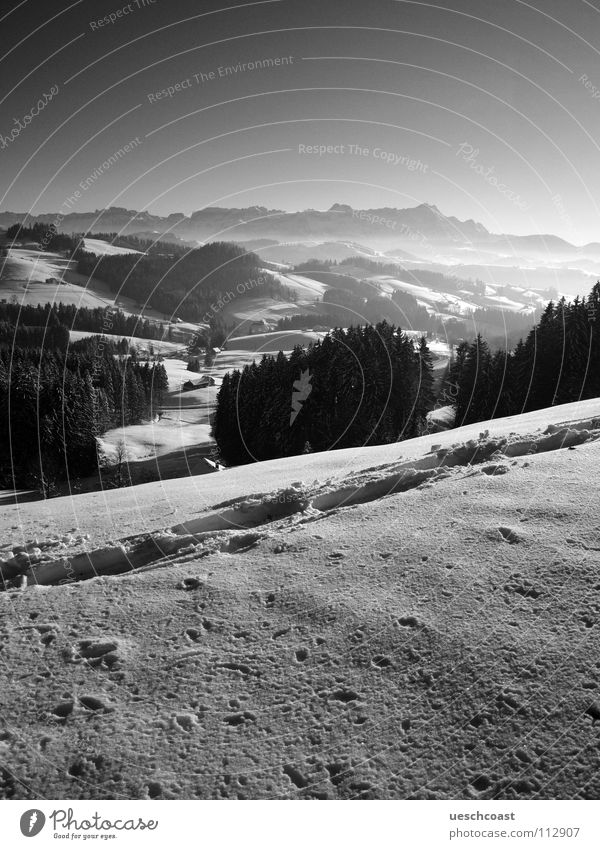 the st.galler winter Winter Forest Mount Säntis Tracks Cold White Black Switzerland Black & white photo Panorama (View) Mountain egge panoramic view Fog