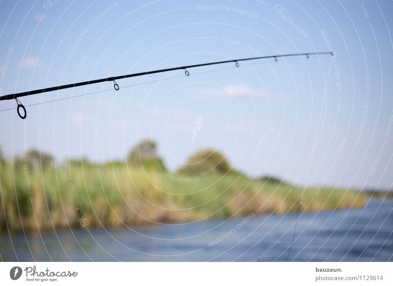 fresh. Leisure and hobbies Fishing (Angle) Environment Nature Landscape Water Sky Cloudless sky Beautiful weather River bank Okavango Namibia Africa Fishing rod