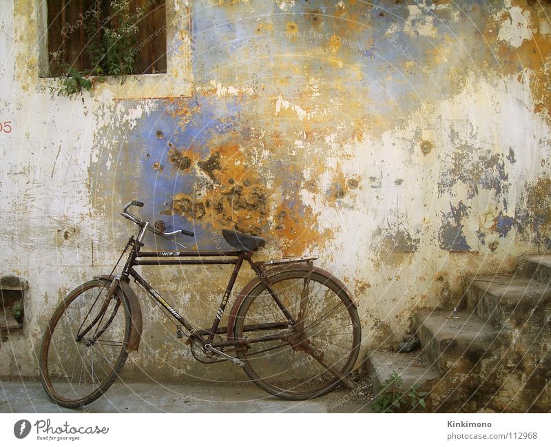 Vintage Bike Bicycle India Wall (building) Facade Decompose Window Stairs Old Colour Rust