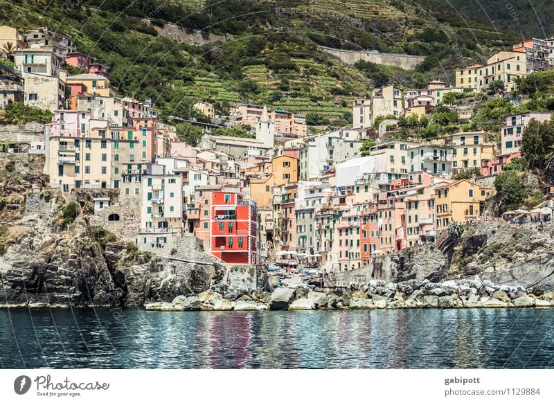 CINQUE TERRE Relaxation Calm Fragrance Vacation & Travel Tourism Trip Adventure Far-off places Sightseeing Cruise Water Summer Beautiful weather Hill Coast
