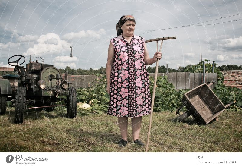 queen of the garden Woman Grandmother Old Growth Retirement Farmer Animal Agriculture Nutrition Cereals Vitamin Grass Straw Dry Noble To hold on Rake Broken