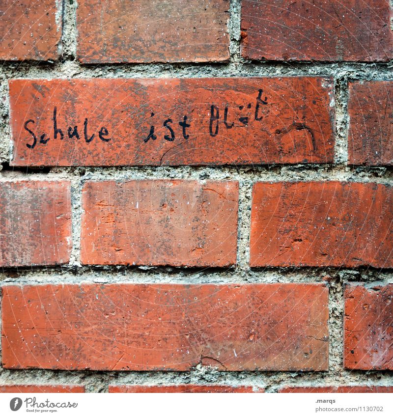 another brick in the wall Education School Wall (barrier) Wall (building) Characters Spelling Figure of speech Authentic Funny Emotions Advice Communicate