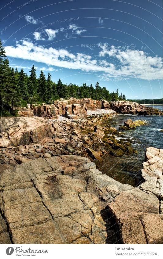 Coastline in Acadia National Park, Maine Summer Ocean Sky Clouds Weather Rock Positive Blue Green Adventure Vacation & Travel Tourism USA acadia national