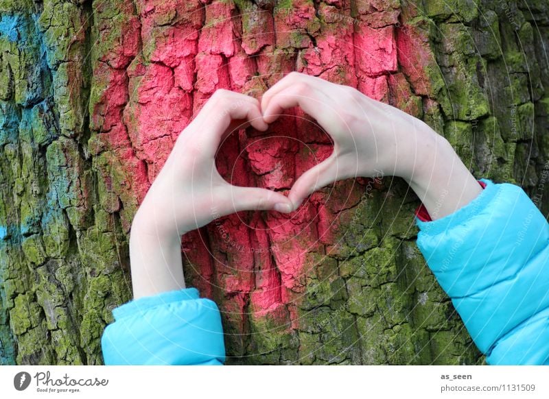 my friend, the tree Hand Fingers 1 Human being 8 - 13 years Child Infancy Environment Nature Plant Tree Tree bark Tree trunk Jacket Heart Authentic Exceptional