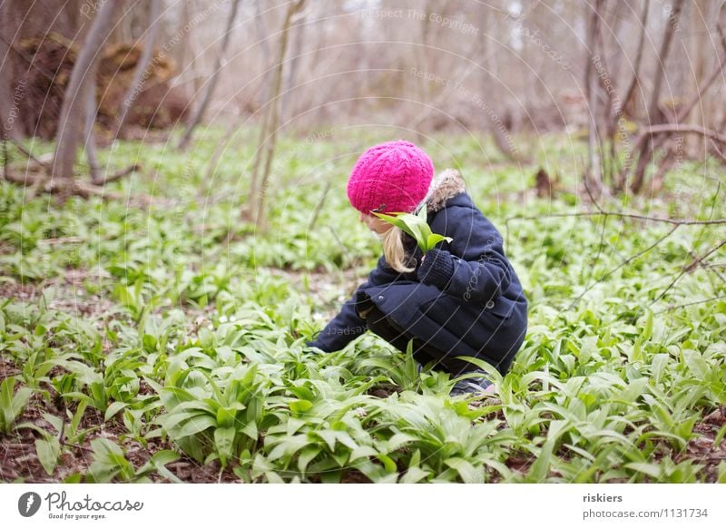 Today we have bear's garlic soup iii Human being Feminine Child Girl Infancy 1 3 - 8 years Environment Nature Plant Spring Wild plant Forest Discover Relaxation