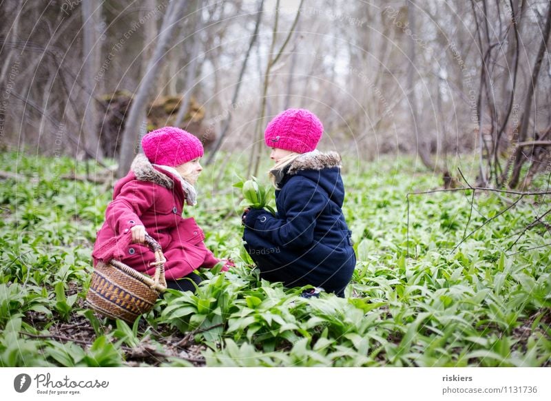 Today there's bear's garlic soup. Feminine Child Girl Brothers and sisters Sister Infancy 2 Human being 3 - 8 years Environment Nature Plant Spring Wild plant