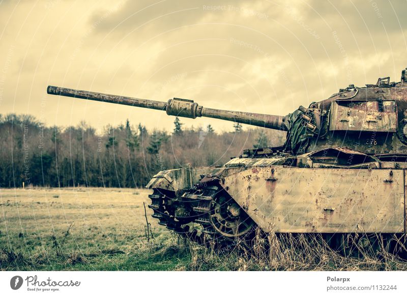 Gun on a tank Camping Engines Nature Landscape Autumn Tree Grass Forest Transport Old Historic Retro Green War Bosnia Serbia Camouflage fall field gun military