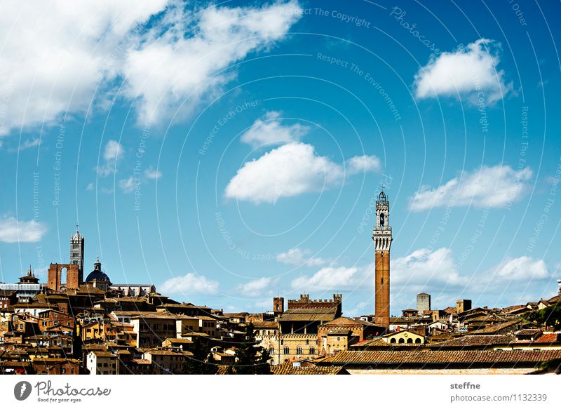 Around the World: Siena around the world Vacation & Travel Travel photography Tourism Landscape Town Skyline steffne
