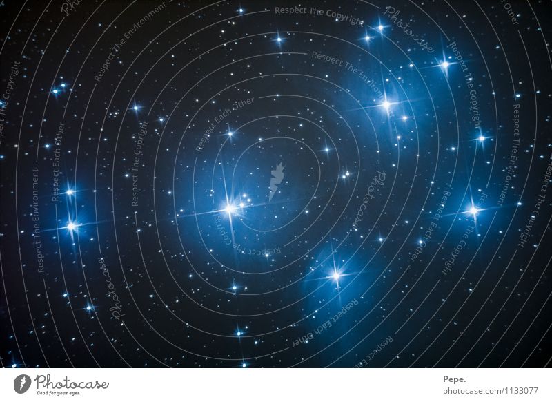 Plejades Sky Night sky Stars Horizon Moon Winter Glittering Blue Joy Happy Contentment Serene Nature Universe Galaxy Constellation Colour photo Exterior shot