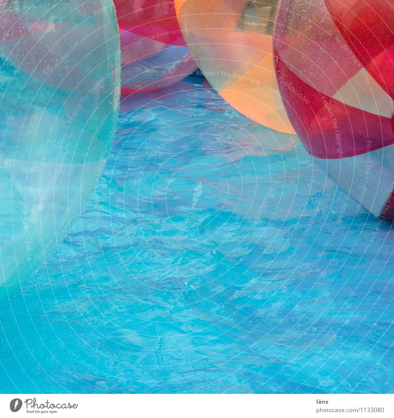 gaming fun Water Swimming pool Joy Multicoloured Turquoise Ball