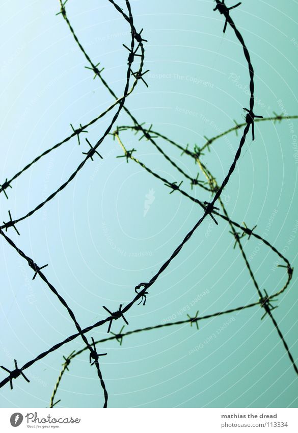 more barbed wire Wire Barbed wire Rolled Round Muddled Traffic infrastructure Safety Thorn Protection Defensive Point Curve Rotate aggro aggressive Sky Blue