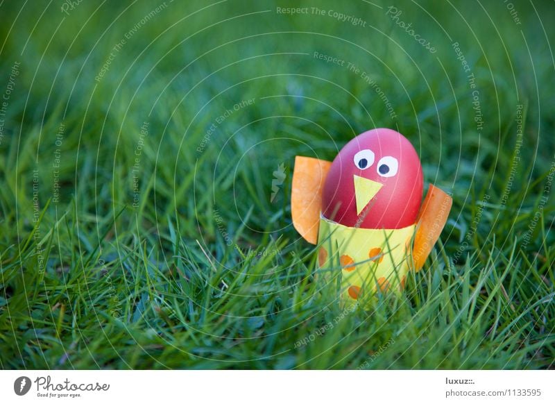 Easter bird Spring Bird Joy Idea Decoration Egg Lawn Neutral Background