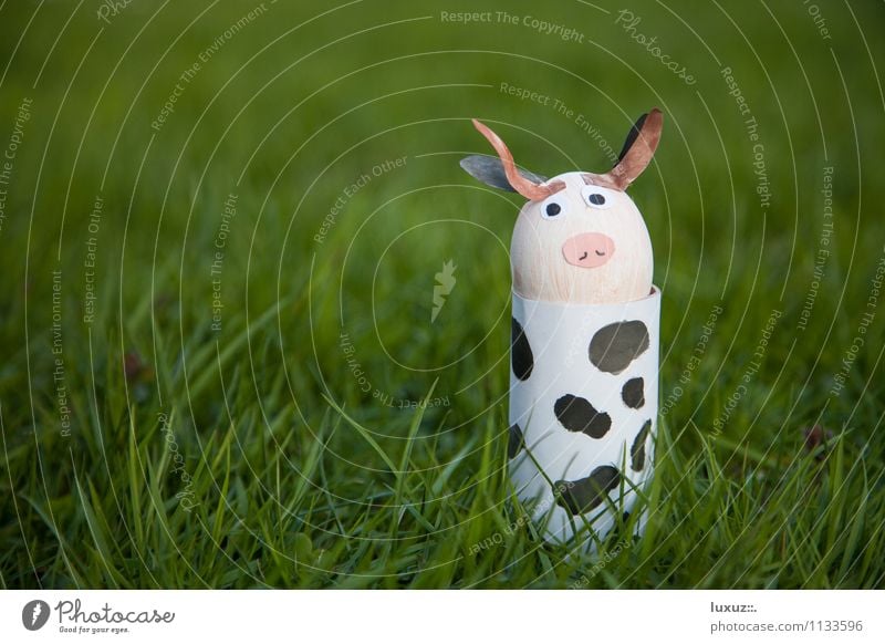 Easter cow Cow Cool (slang) Funny Cute Positive Crazy Easter egg nest Egg Neutral Background