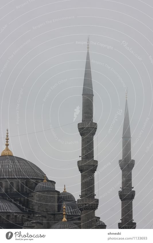 Blue mosque in grey I Bad weather Fog Rain Istanbul Mosque Blue Mosque House of worship Minaret Point Gray Religion and faith Islam Dreary Colour photo