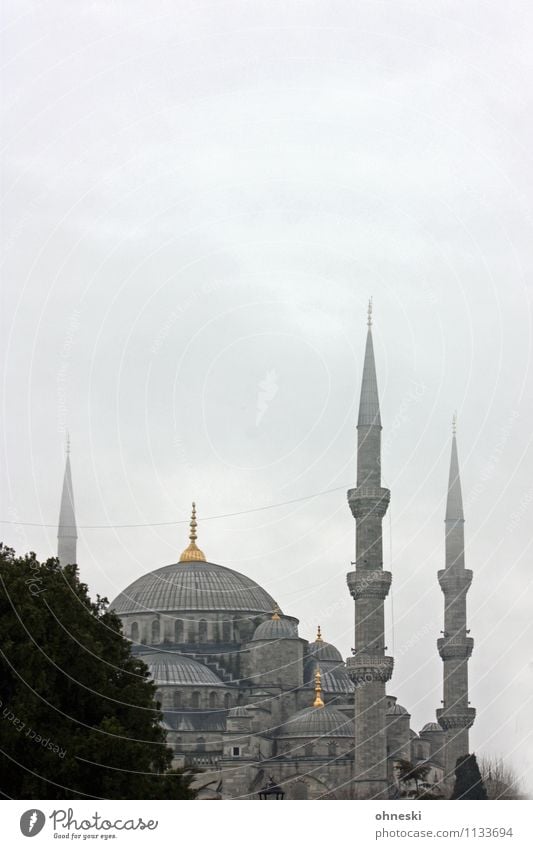Blue mosque in grey II Bad weather Istanbul Mosque Blue Mosque House of worship Vacation & Travel Religion and faith Islam Colour photo Subdued colour Deserted