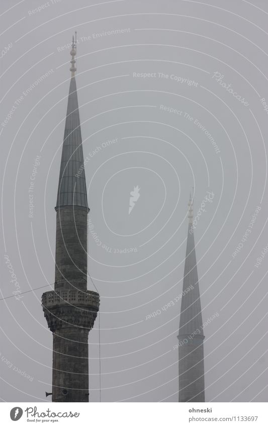 Blue mosque in grey III Bad weather Fog Istanbul Mosque Blue Mosque House of worship Minaret Gray Religion and faith Dreary Dark Colour photo Subdued colour