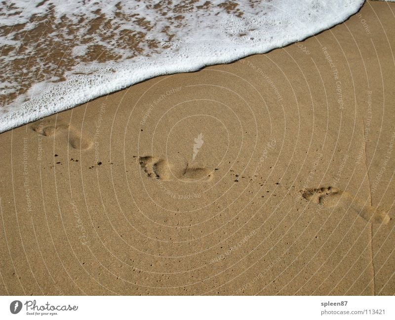 Footprints by the sea Ocean Beach Playing Summer Feet Water Sand Tracks Barefoot
