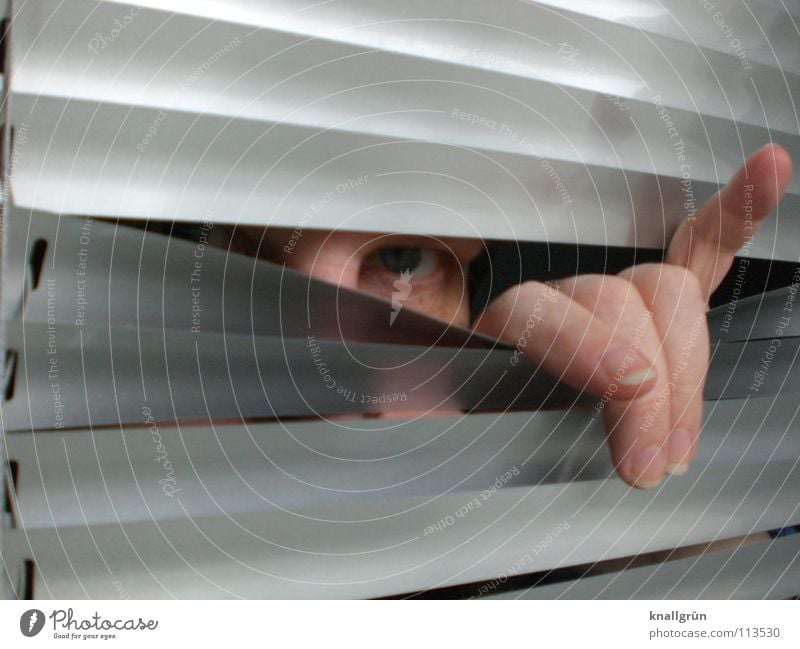 In the distinguished way Venetian blinds Gray Hand Fingers Woman Disk Silver Eyes splayed Looking Hide