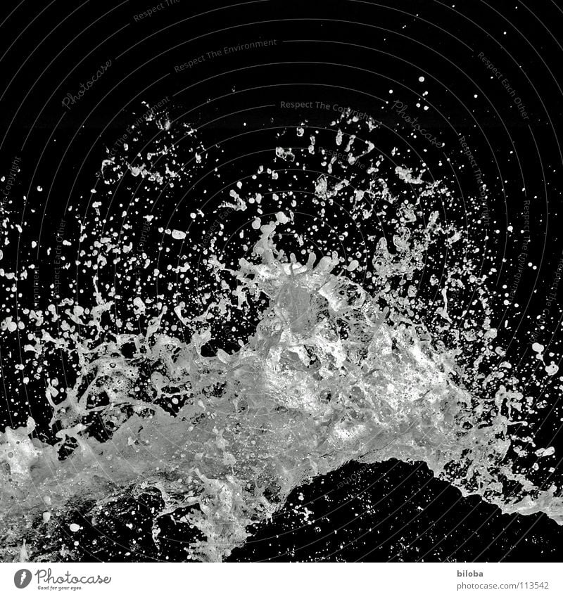 Skim off! White crest Foam Surf Liquid Fluid Force of nature Waves Wet Damp Air Ocean Breeze Cold Momentum Bulky Break water Lake Coast Beach Gale Passion Dark