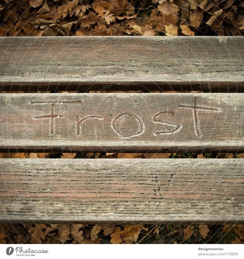 dad Winter Cold Freeze Leaf November Parallel 3 23 7 Empty Hoar frost Ice crystal Loneliness Brown Black White Wood Handwriting Capital letter Frost Bench