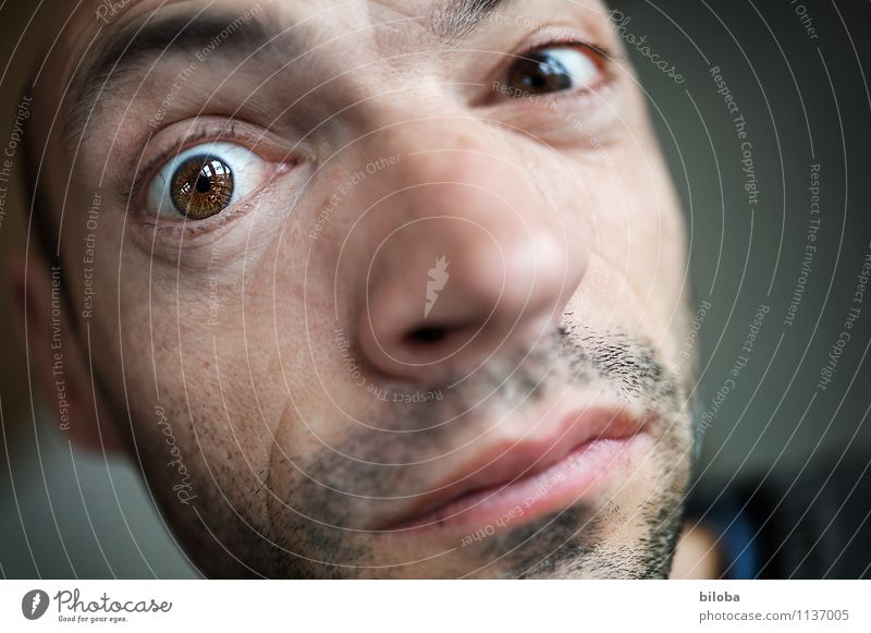 Are you looking at it? Human being Masculine Man Adults Eyes 1 30 - 45 years Looking Vista Colour photo Copy Space right Shallow depth of field