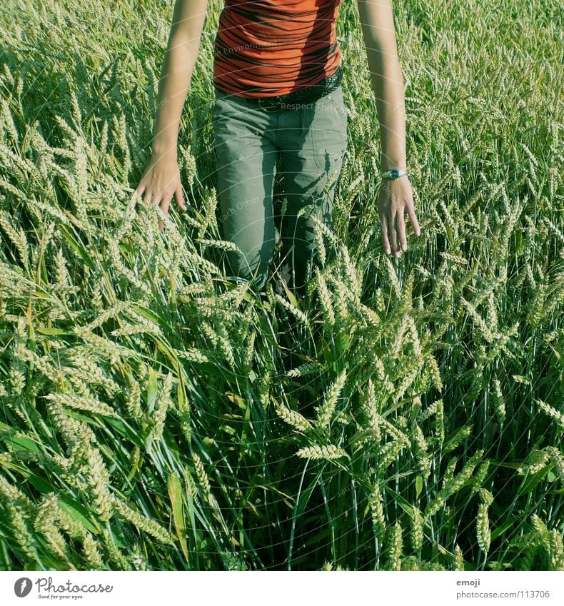 [in green] Field Cornfield Wheatfield Woman Bad weather Peace Happiness Summer Spring Physics Contentment Free Hand Air Human being Concentrate Stand Touch Jump