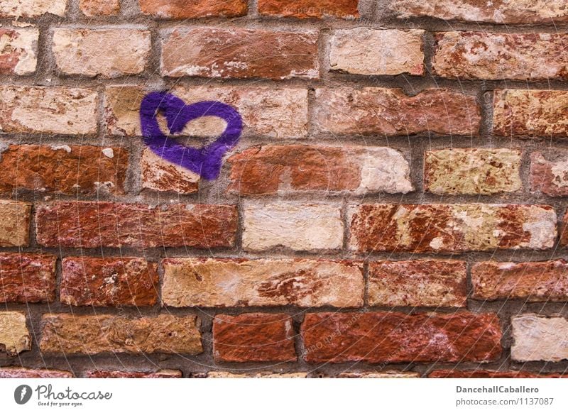 Heart from (f)s stone House (Residential Structure) Wall (barrier) Wall (building) Stone Sign Graffiti Violet Red Emotions Happy Contentment