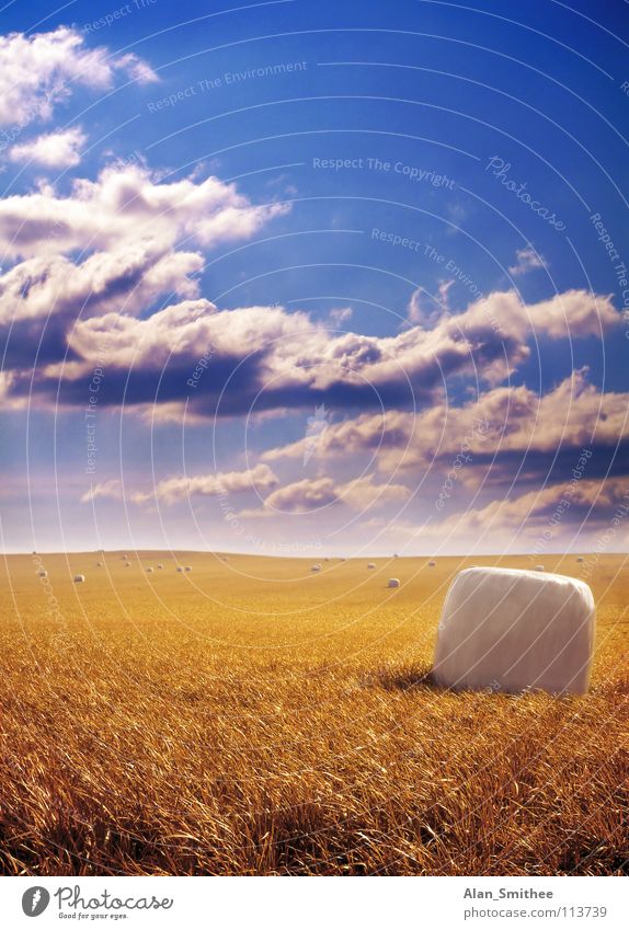 Golden Harvest Sky harvest crop wheat grain bale hay clouds field