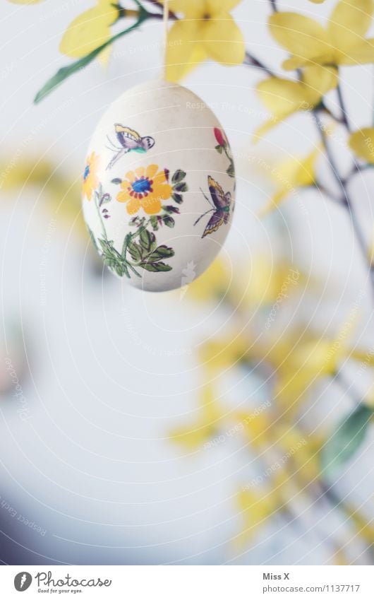 Early Decoration Easter Spring Flower Blossom Blossoming Yellow Easter egg Egg Painted Leisure and hobbies Butterfly Tit mouse Colour photo Multicoloured