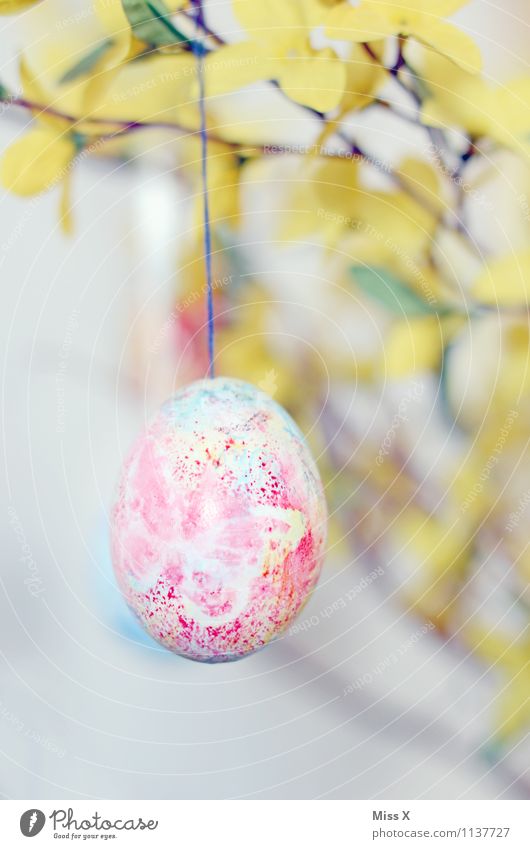 Easter egg with butterfly Leisure and hobbies Handicraft Decoration Spring Blossom Butterfly Kitsch Odds and ends Yellow Forsythia blossom Branch Hang Painted