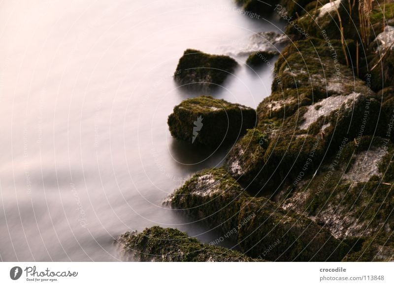 fairy tale stones Growth Surf Mystic Illuminate Flow Current Long exposure River Brook Stone Abstract Rock Movement oppressive. bright Blur Coast Water Reaction
