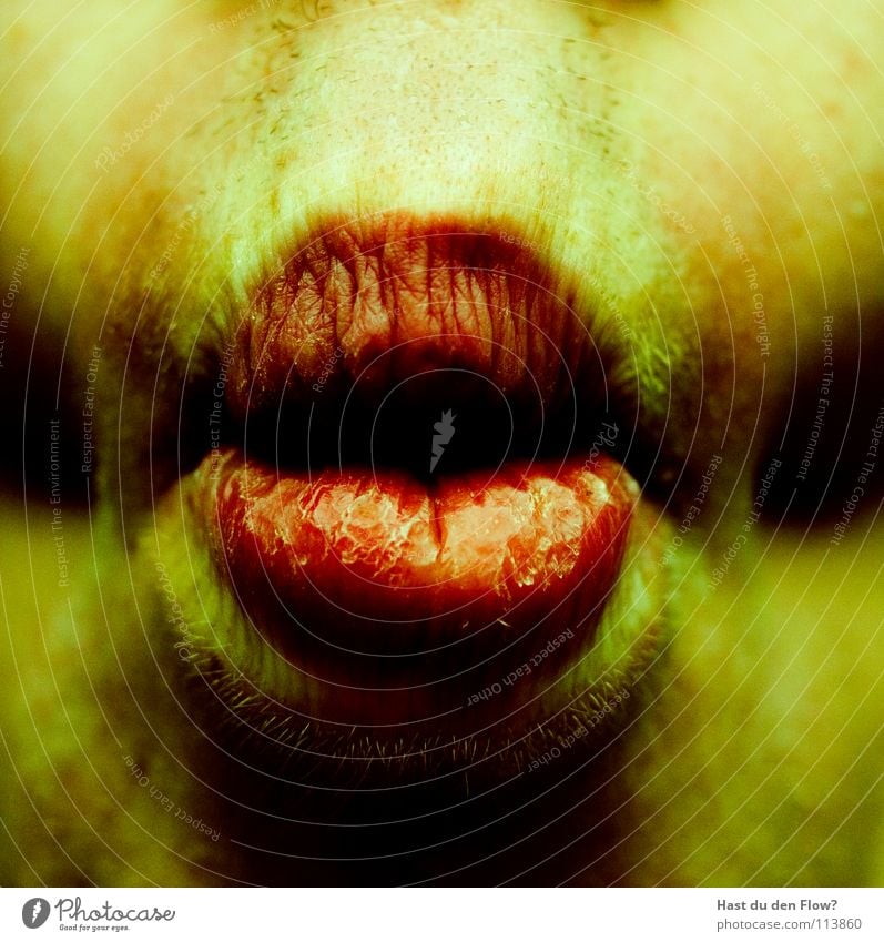 alien Red Lips Nutrition Delicious Lower lip French kiss Upper lip Yellow Intoxicant Fish mouth Transience Human being Grief Distress Tongue Mouth Skin