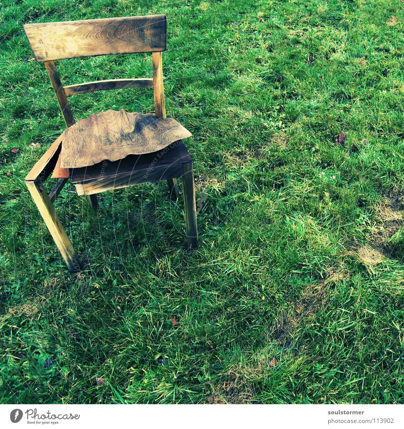 Seat - so slowly he dies... Cross processing Green undertone Yellowness Meadow Seating Wood Wet Cold Loneliness Calm Bird's-eye view Brown Light brown