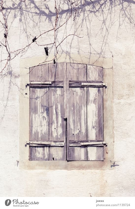 parted Wall (barrier) Wall (building) Window Shutter Stone Wood Old Beautiful Brown White Protection Calm Interest Grief Transience Change Living or residing