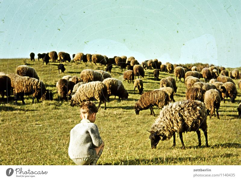 Dornbusch, 1966 Child Boy (child) Vacation & Travel Travel photography Landscape Hill Horizon Sky Former Infancy Childhood memory Youth (Young adults) Past