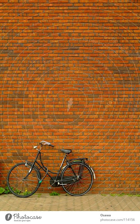 Bicycle without PC Cut Wall (building) Wall (barrier) House (Residential Structure) Building Seam Grid Structures and shapes Brick Sidewalk Ladies' bicycle