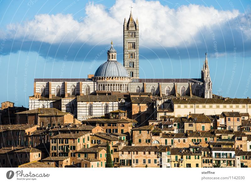 being enthroned Clouds Sunrise Sunset Sunlight Spring Beautiful weather Hill Siena House (Residential Structure) Church Dome Religion and faith Majestic Tuscany