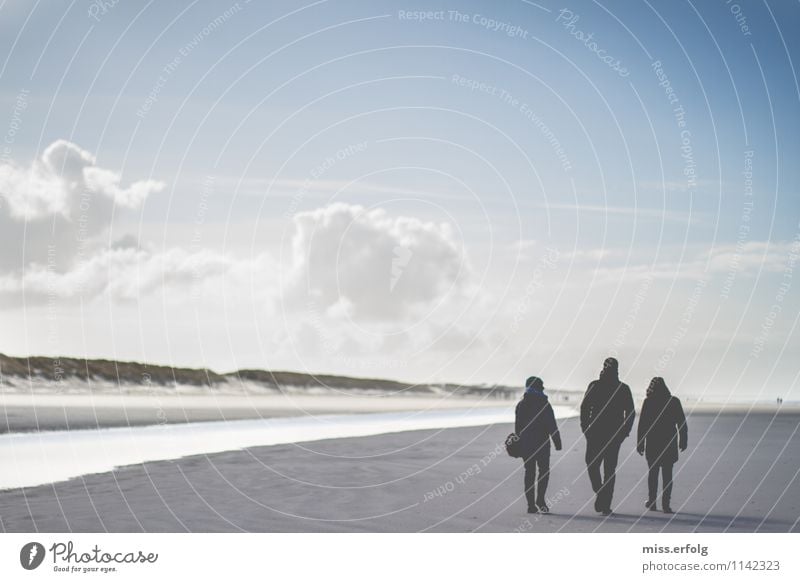 The three from the dike. 3 Human being 13 - 18 years Youth (Young adults) 18 - 30 years Adults Hiking Dark Bright stand Dune North Sea clean air Air