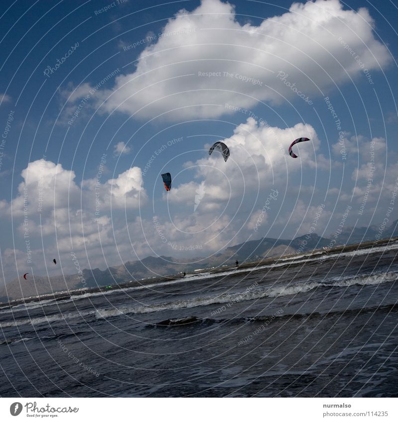 early-morning exercise Ocean Glide Hover Kite Dangerous Gale Neoprene Suit Nonconformist Surfer Beach Physics Summer Caribbean Sea Sea water Junkie Crazy Clouds