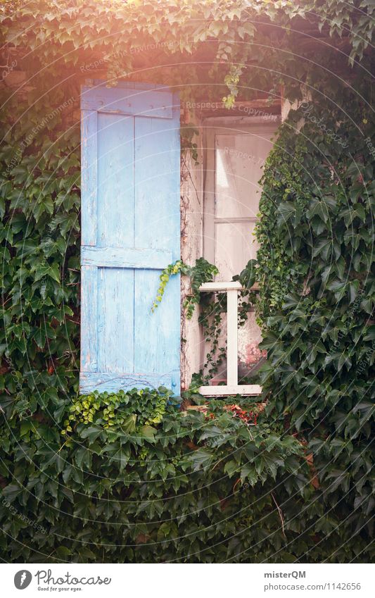 French Windows III Art Esthetic Old fashioned Overgrown Facade Blue Shutter Window pane Window board View from a window Window transom and mullion Window frame