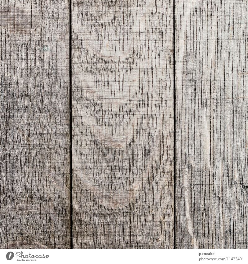 blank Nature Authentic Simple Clean Gray Wooden board Old Washed out Naked Empty Blank Plank Wood grain Colour photo Subdued colour Exterior shot Close-up