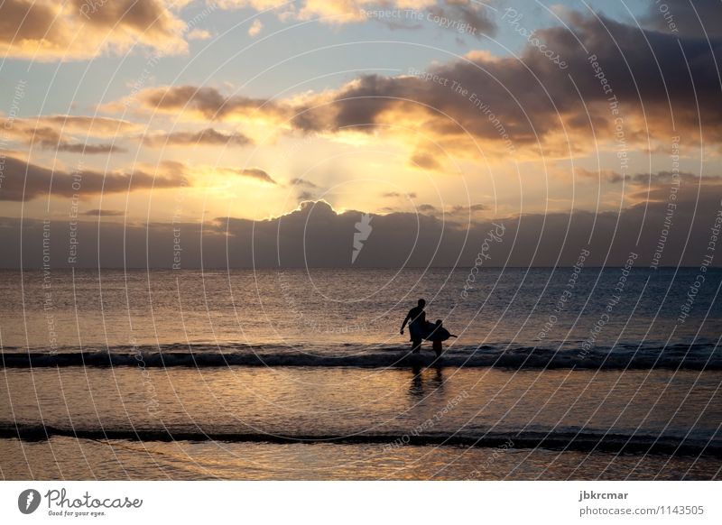 Surfer and son on the beach in Mauritius at sunset Exotic Athletic Senses Calm Leisure and hobbies Surfing Vacation & Travel Adventure Summer vacation Ocean