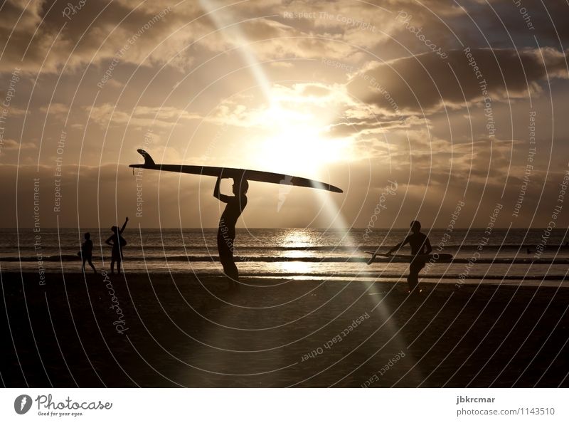 Surfers at sunset in Mauritius Surfing Aquatics Sports free time Water Ocean Beach Sun vacation Summer Sunset Silhouette Freedom hobby Surfboard Athletic Clouds
