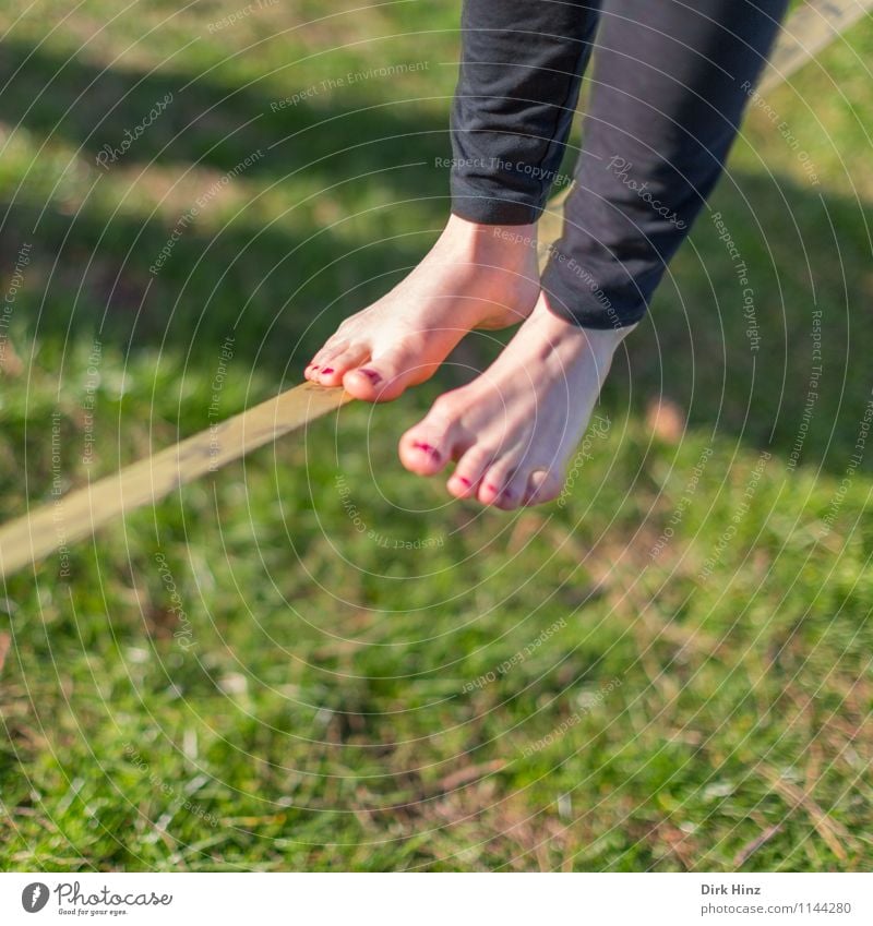 Slackline I Woman Adults Legs Feet 1 Human being Green Black Balance Narrow Complex Contentment Concentrate Barefoot Sports Movement Rope Wirewalker